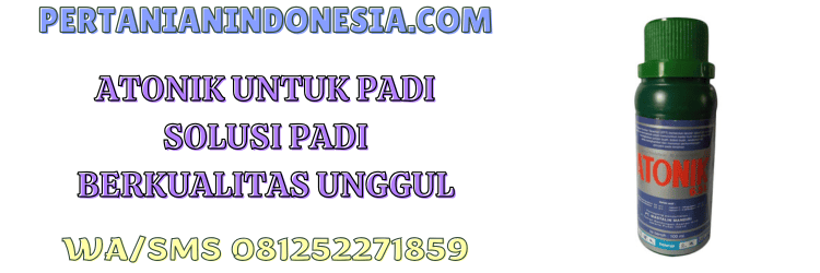 atonik,atonik 6.5 l,mastalin mandiri,zpt,pertanian indonesia